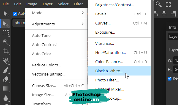 Tạo ảnh đen trăng bằng Photoshop online