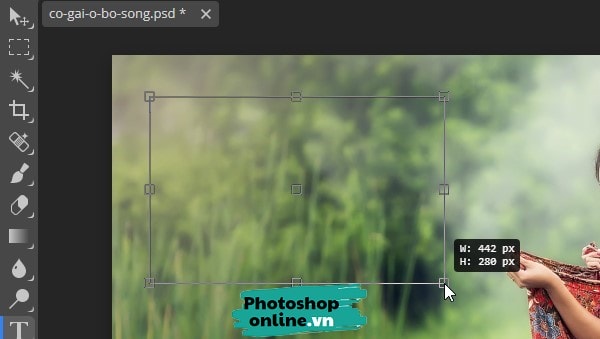 Chèn chữ vào ảnh trong Photoshop online